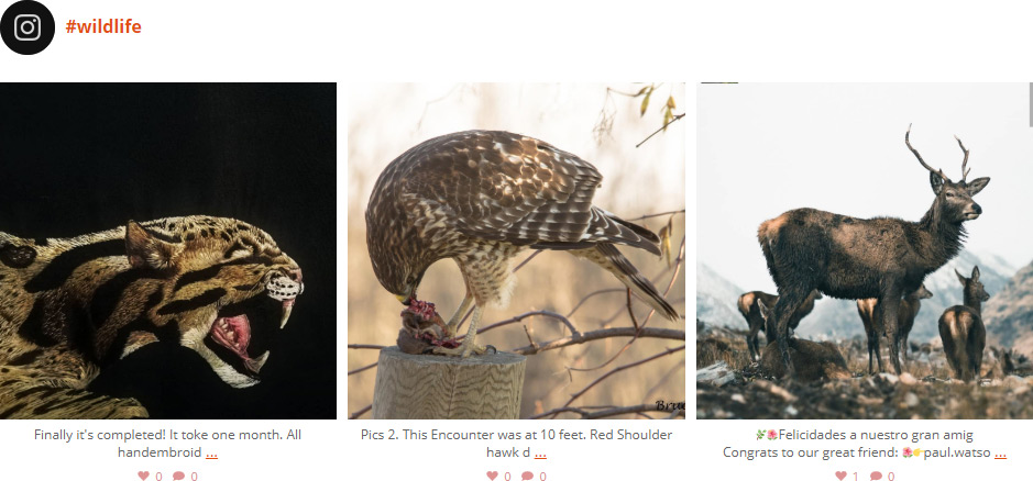 Nova API gráfica do feed de hashtag do Instagram