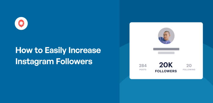How to Easily Increase Instagram Followers