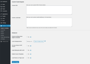 Feeds para o plugin YouTube WordPress - Personalizar 6