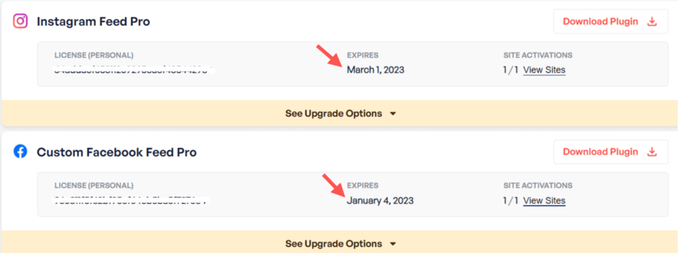 Screenshot of where to check the actual scheduled expiration date of the license after cancelling a subscription.