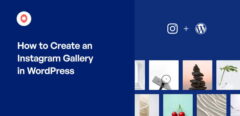 Come creare una galleria Instagram in WordPress