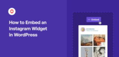 Come incorporare un widget di Instagram in WordPress