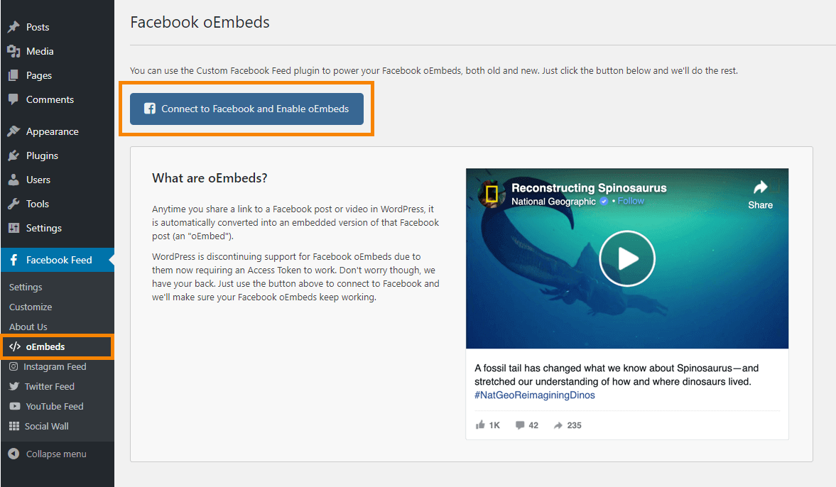 Fix Facebook and Instagram oEmbeds in WordPress