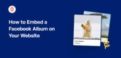 how to embed facebook album on website