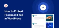 cómo incrustar facebook feed en wordpress