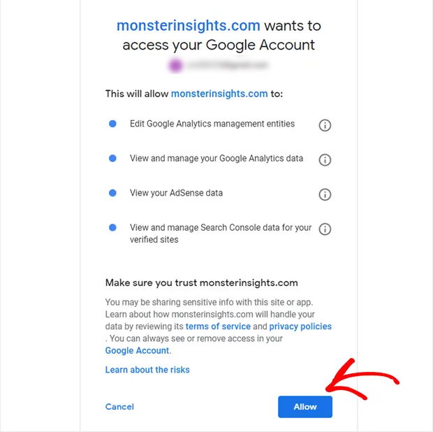 consentire l'accesso a monsterinsights