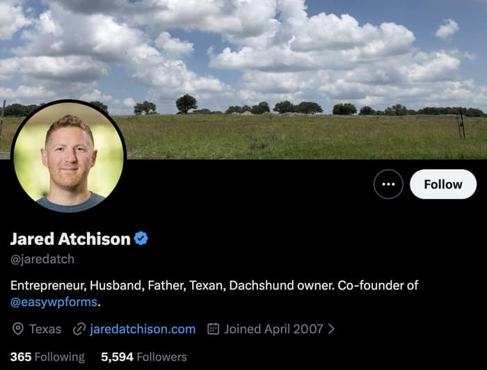 example of a professional twitter profile