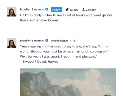 Twitter Feed Pro in Aktion sehen