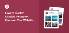 Come visualizzare più feed di Instagram sul vostro sito web (1)