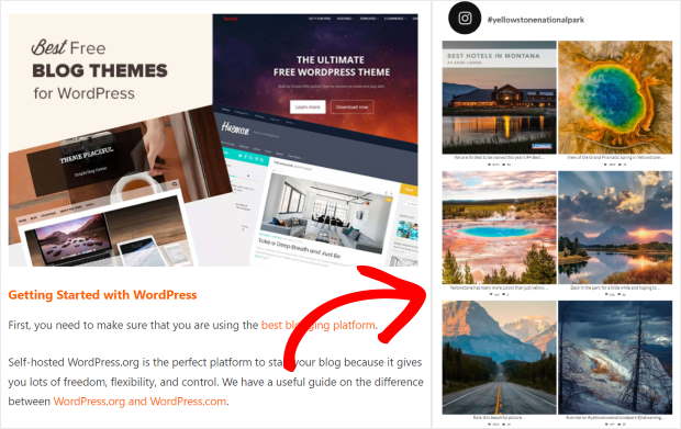 インスタグラムのハッシュタグフィードウィジェットの例