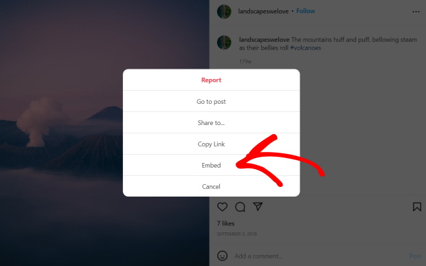 embed option instagram post
