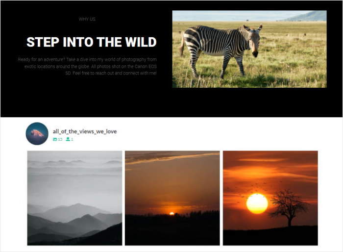 elementor instagram feed beispiel