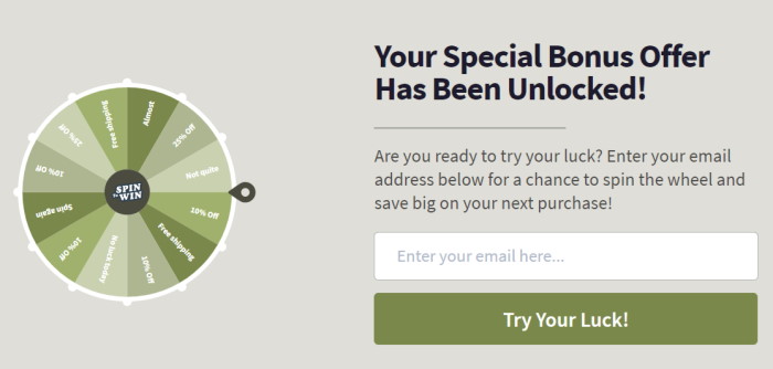 email sign up wheel optinmonster