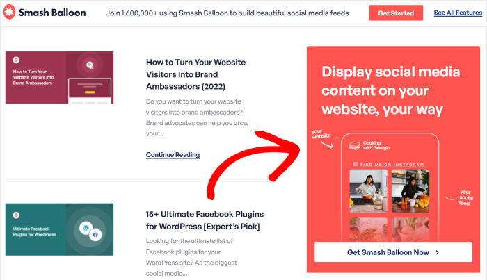 exemplo de widget do instagram
