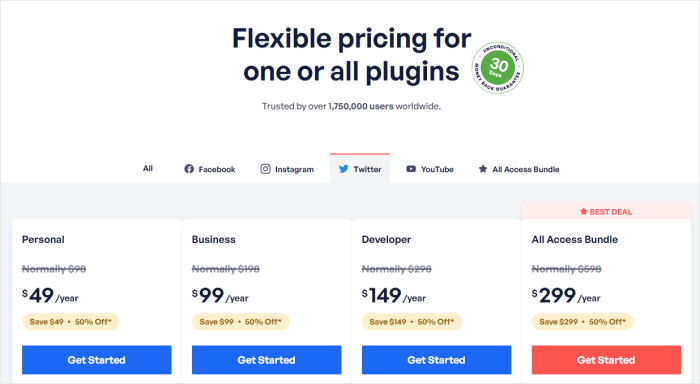 価格オプション smashballoon vs taggbox