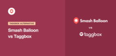 Meilleure alternative Taggbox Smash Balloon vs Taggbox