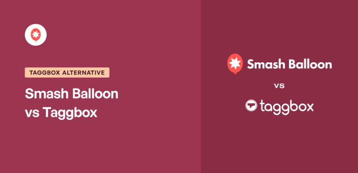 Best Taggbox Alternative Smash Balloon vs Taggbox