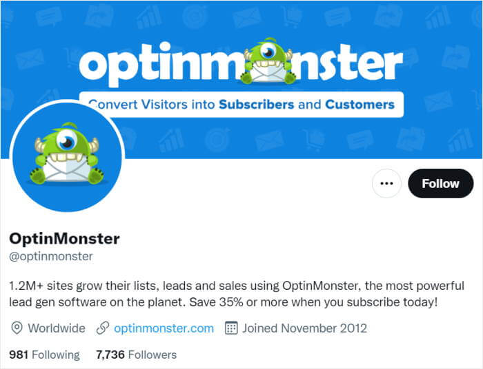 professional twitter profile example