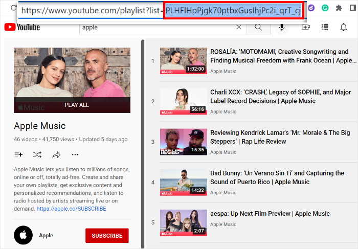 copy the playlist id of your selected playlist