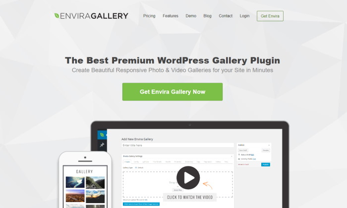 envira gallery wordpress youtube slider plugin