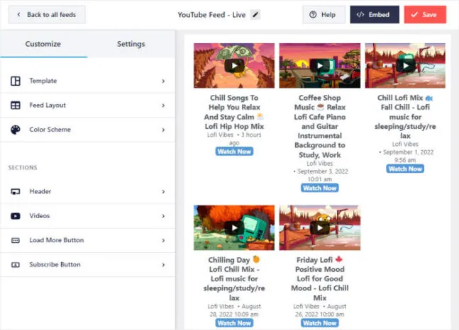 Video Feed Example Image How to Embed Live Streaming Video On Your Website (Easy Guide)
