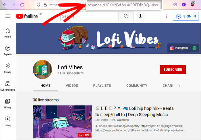 copiar o id do seu canal no youtube