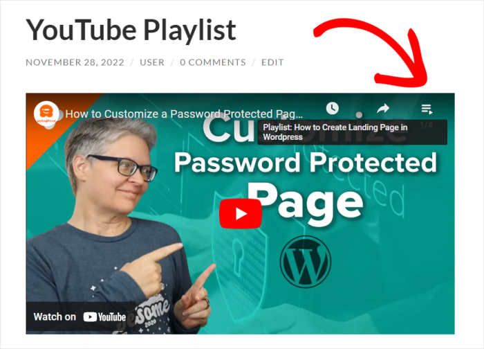 ユーチューブのプレイリストで他のビデオをチェックする