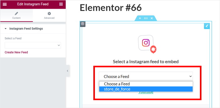 Wählen Sie Ihr Instagram-Feed-Elementor
