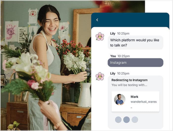 example of instagram chat added to wordpress