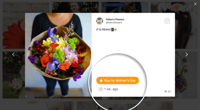 フロックラーのCTAボタン
