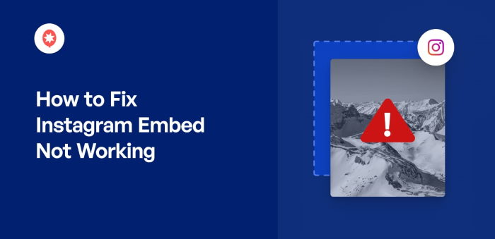 Cómo arreglar Instagram Embed no funciona (1)