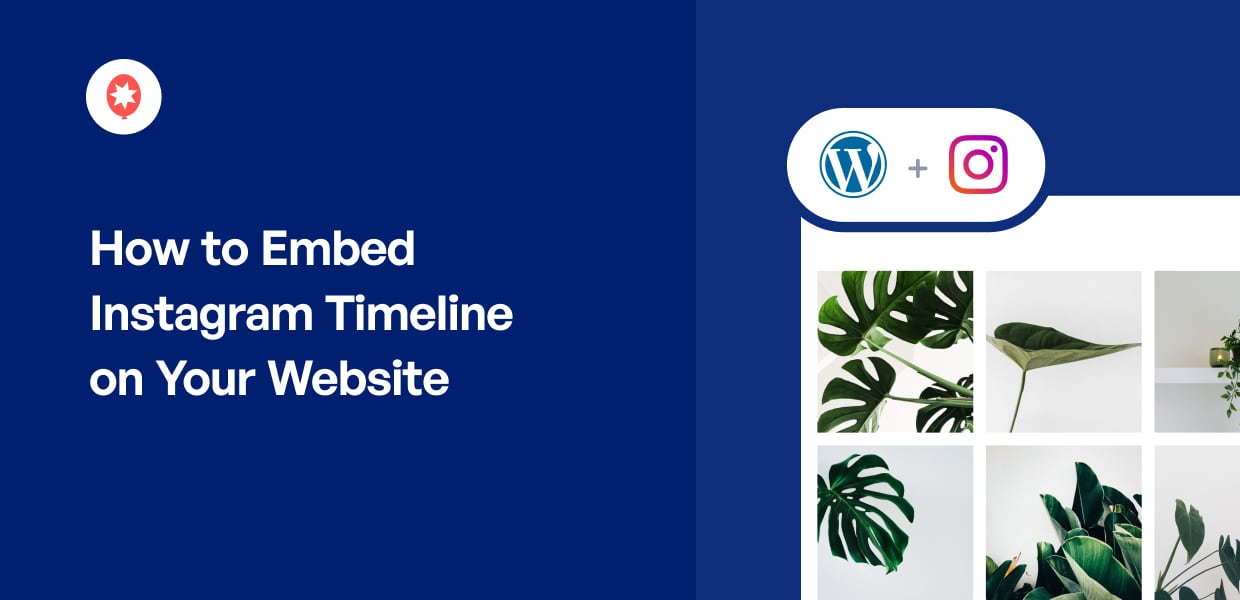 How to Embed Instagram Timeline on Your Website