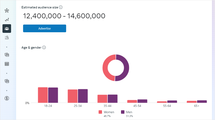 facebook audience insights