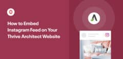 wie man den Instagram-Feed auf der Website von thrive architect einbindet