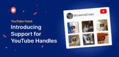 youtube feed update youtube handles