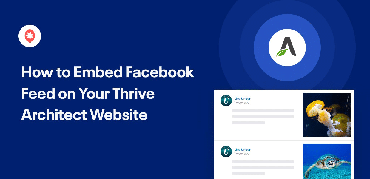 Facebook-Feed auf Thrive einbetten