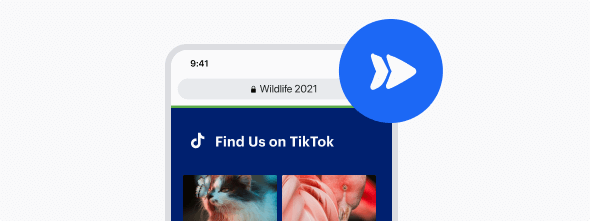 Optimierte Seitengeschwindigkeit