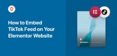 Wie binde ich Tiktok in eine Elementor-Website ein?