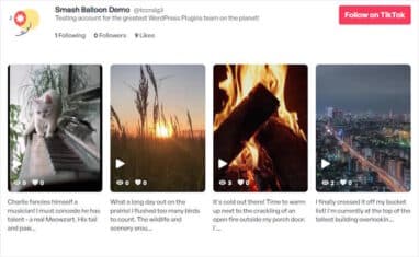 [NEW] TikTok Feed is Here - Easily Create, Customize, And Embed TikTok ...