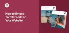 wie man Tiktok-Feeds in seine Website einbindet
