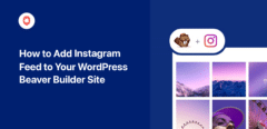 wie man einen Instagram-Feed zu seiner Biber-Builder-Website hinzufügt