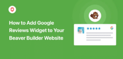 Wie füge ich ein Google-Bewertungs-Widget zu Beaver Builder hinzu?
