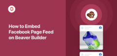 Facebook-Seiten-Feed auf Beaver Builder einbetten