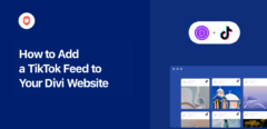 einen Tiktok-Feed zu Divi hinzufügen