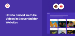 wie man youtube-videos in beaver builder-websites einbettet