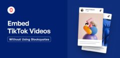 Einbetten von TikTok-Videos ohne Verwendung von Blockzitaten