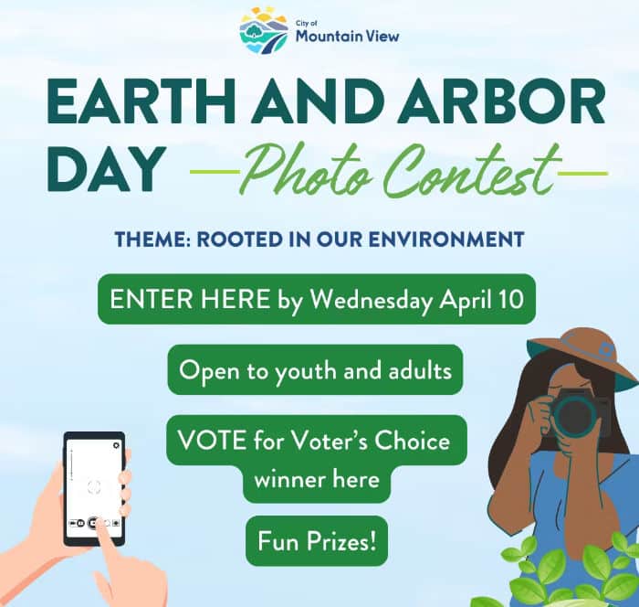 vote for the winner of a photo contest