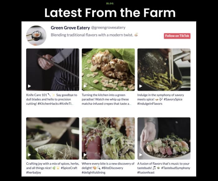 exemplo de feed tiktok divi