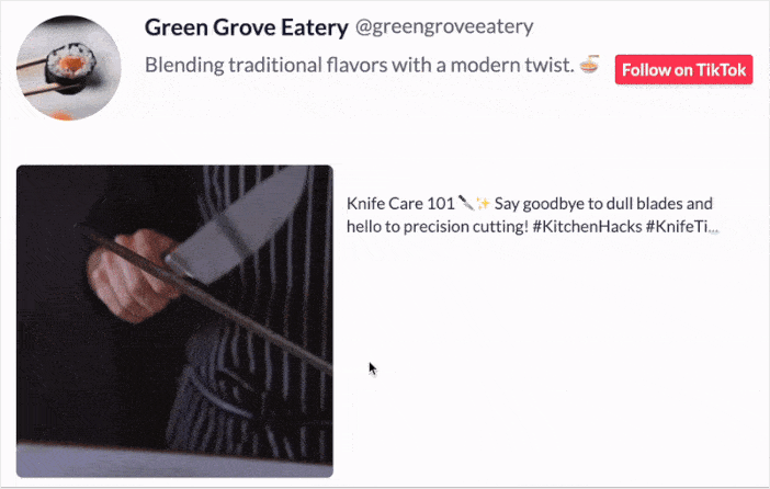 exemplo de vídeo tiktok em linha