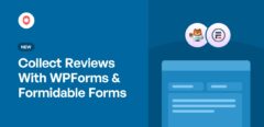 Raccogliere recensioni con WPForms e Formidable Forms